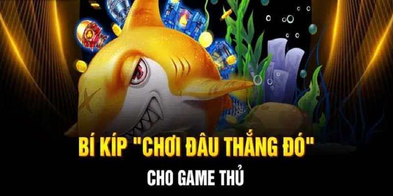 Những kinh nghiệm có thể áp dụng khi bắn cá